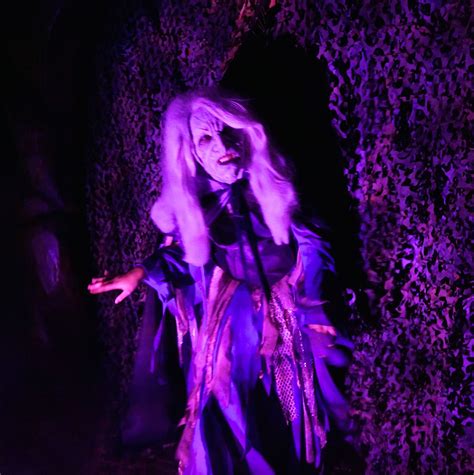 Unmasking the Witchcraft Chateau: Halloween's Most Anticipated Attraction